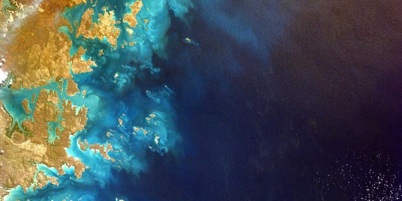 028本地生活指南 | 成都大熊猫基地深度游：不止看萌宠，更是科研保护与生态教育的便民窗口