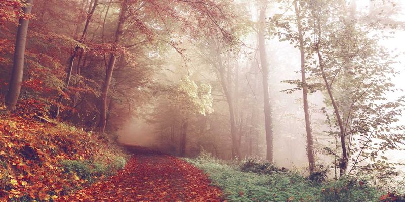 成都川剧变脸：028区号背后的非遗密码与便民观赏指南